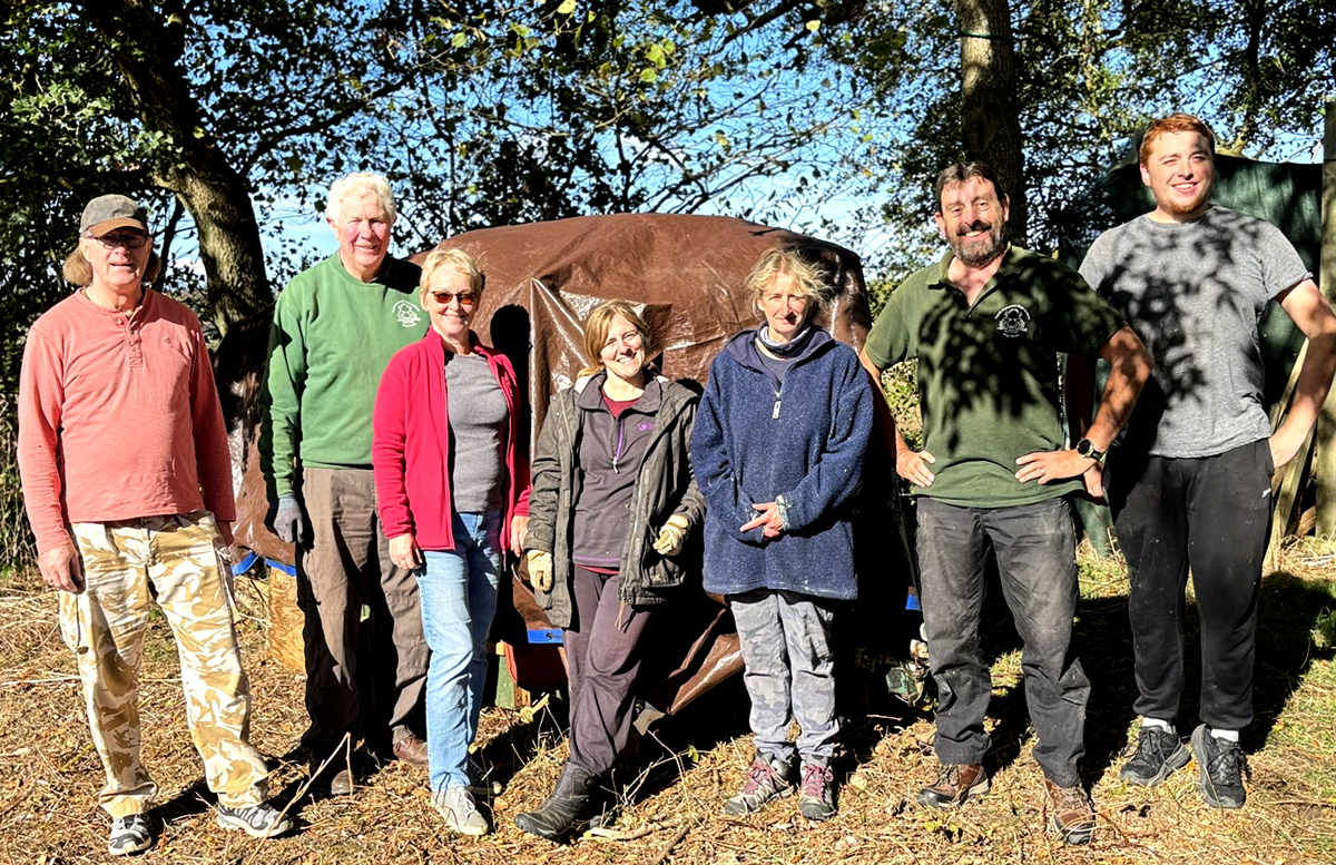 Hogwood Archery